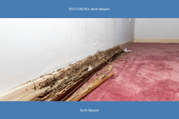 PEST CONTROL North Babylon